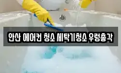 안산 에어컨 청소 세탁기청소 우렁총각