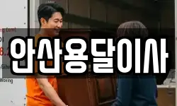 안산용달이사