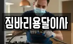 짐바리용달이사