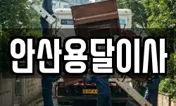 안산용달이사