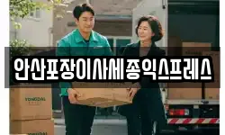 안산포장이사세종익스프레스