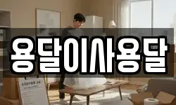 용달이사용달