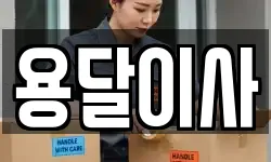용달이사