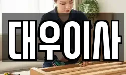 대우이사