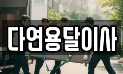 다연용달이사