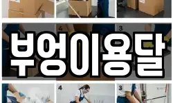 부엉이용달