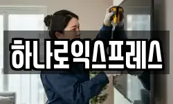 하나로익스프레스