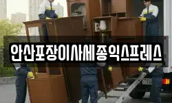 안산포장이사세종익스프레스