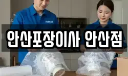 안산포장이사 안산점