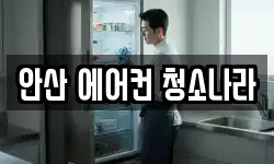 안산 에어컨 청소나라