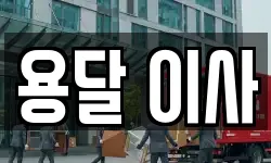 용달 이사