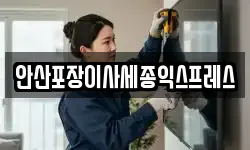 안산포장이사세종익스프레스