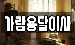 가람용달이사