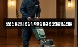 청소전문업체공장사무실상가준공크린룸청소전문