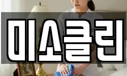 미소클린