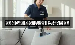 청소전문업체공장사무실상가준공크린룸청소