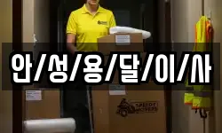안/성/용/달/이/사
