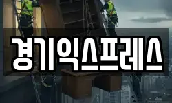 경기 안성시 당왕동 이사,용달이사,포장이사,원룸이사,보관이사