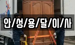 안/성/용/달/이/사