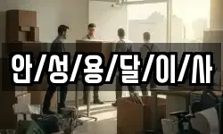 안/성/용/달/이/사