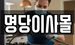 명당이사몰