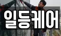 일등케어