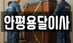 안평용달이사