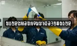 청소전문업체공장사무실상가준공크린룸청소전문