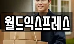 월드익스프레스