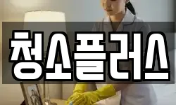 청소플러스
