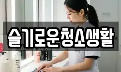 슬기로운청소생활