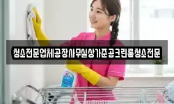 청소전문업체공장사무실상가준공크린룸청소전문