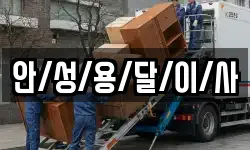 안/성/용/달/이/사