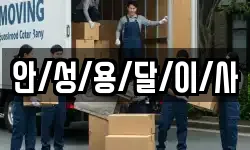 안/성/용/달/이/사