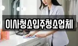 이사청소입주청소업체