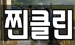 찐클린