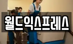 월드익스프레스
