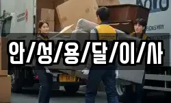 안/성/용/달/이/사