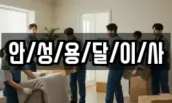 안/성/용/달/이/사