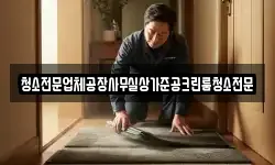 청소전문업체공장사무실상가준공크린룸청소전문