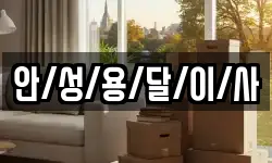 안/성/용/달/이/사
