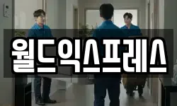 월드익스프레스