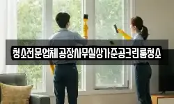 청소전문업체공장사무실상가준공크린룸청소