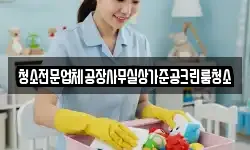 청소전문업체공장사무실상가준공크린룸청소