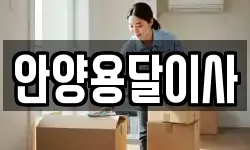 안양용달이사