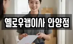 옐로우캡이사 안양점