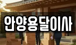 안양용달이사