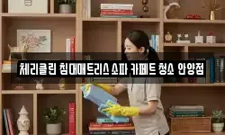 체리클린 침대매트리스 소파 카페트 청소 안양점