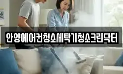 안양에어컨청소세탁기청소크린닥터