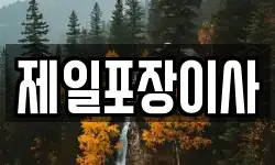 제일포장이사